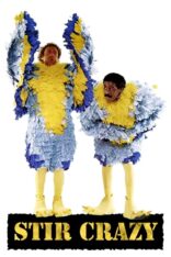 Beni Deli Etme Stir Crazy Türkçe Dublaj izle (1980)