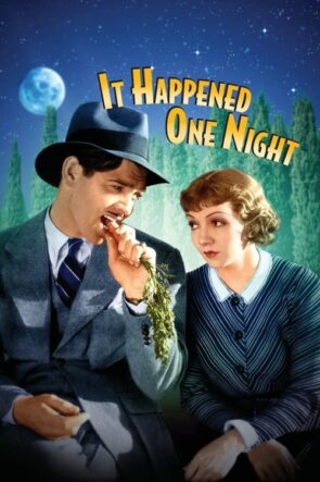 Bir Gecede Oldu Türkçe Dublaj izle (1934)