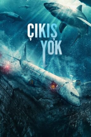 Çıkış Yok (No Way Up) Türkçe Altyazılı izle (2024)