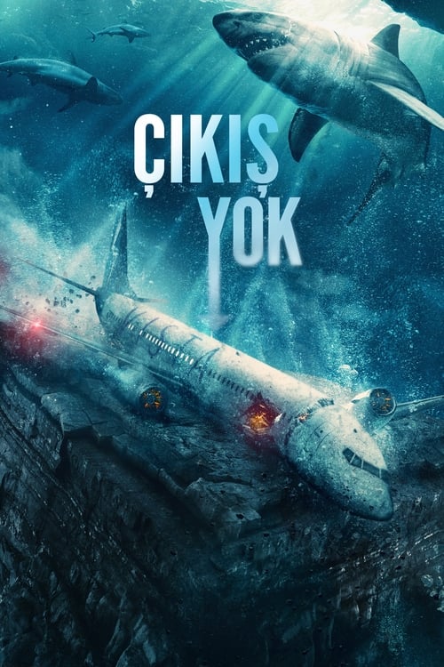 Çıkış Yok (No Way Up) Türkçe Altyazılı izle (2024)