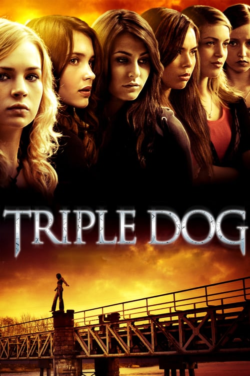 Doğruluk mu Cesaret mi? Triple Dog Türkçe Dublaj izle (2010)