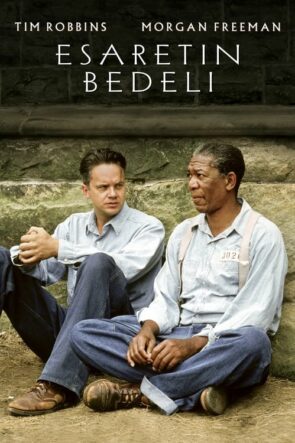 Esaretin Bedeli (The Shawshank Redemption) Türkçe Dublaj izle (1994)