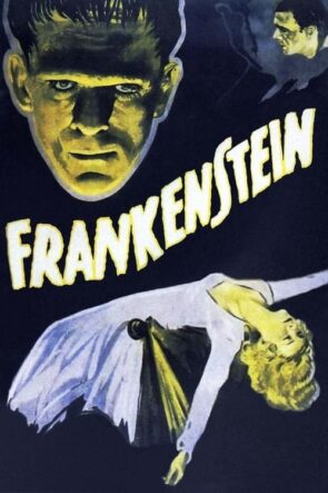 Frankeştayn Frankenstein Türkçe Dublaj izle (1931)