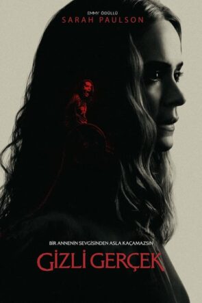 Gizli Gerçek Run Türkçe Dublaj izle (2020)