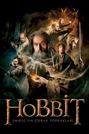 Hobbit: Smaug’un Çorak Toprakları The Hobbit: The Desolation of Smaug Tr Dublaj izle (2013)