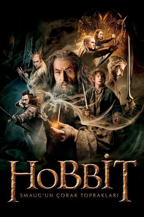 Hobbit: Smaug’un Çorak Toprakları The Hobbit: The Desolation of Smaug Tr Dublaj izle (2013)