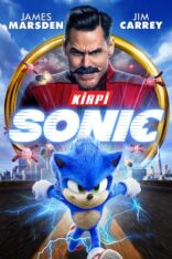 Kirpi Sonic Sonic the Hedgehog Türkçe Dublaj izle (2020)