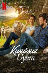 Kusursuz Uyum A Perfect Pairing Türkçe Dublaj izle (2022)
