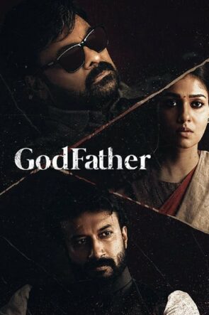 Mafya Babası Godfather Türkçe Altyazılı izle (2022)