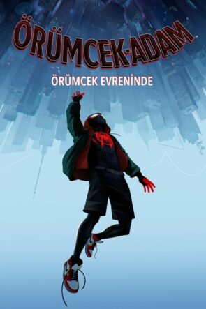 Örümcek Adam: Örümcek Evreninde Türkçe Dublaj izle (2018)