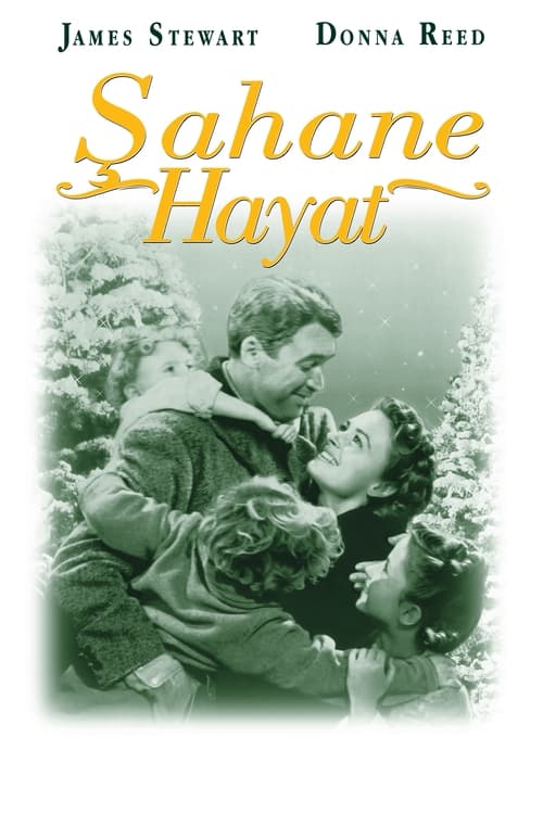 Şahane Hayat It’s a Wonderful Life Tr Dublaj izle (1946)
