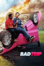 Şaka Peşinde Bad Trip Türkçe Dublaj izle (2021)