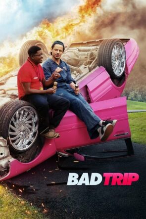 Şaka Peşinde Bad Trip Türkçe Dublaj izle (2021)