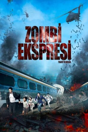 Zombi Ekspresi Train to Busan Türkçe Dublaj izle (2016)