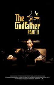 Baba 2 The Godfather Part II Türkçe Dublaj izle (1974) izle
