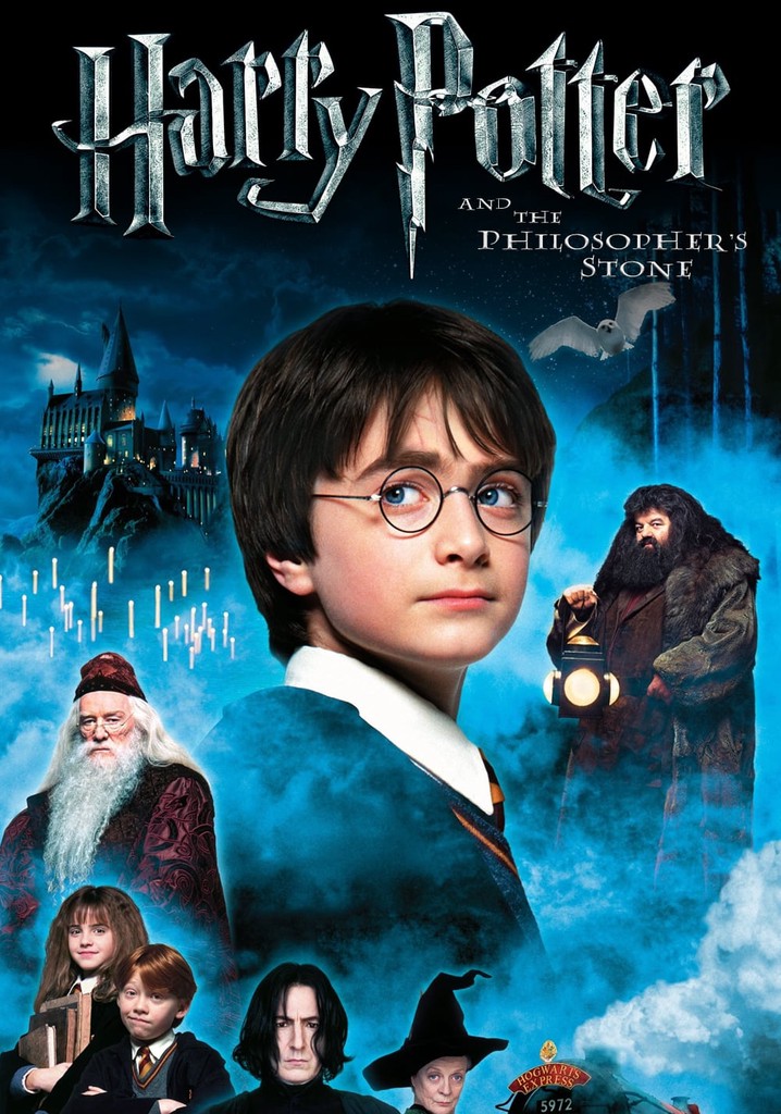 Harry Potter ve Felsefe Taşı Türkçe Dublaj izle (2001)