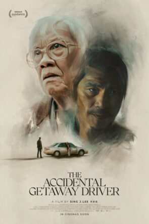 Kazara Kaçış Sürücüsü Türkçe Dublaj izle (2023)