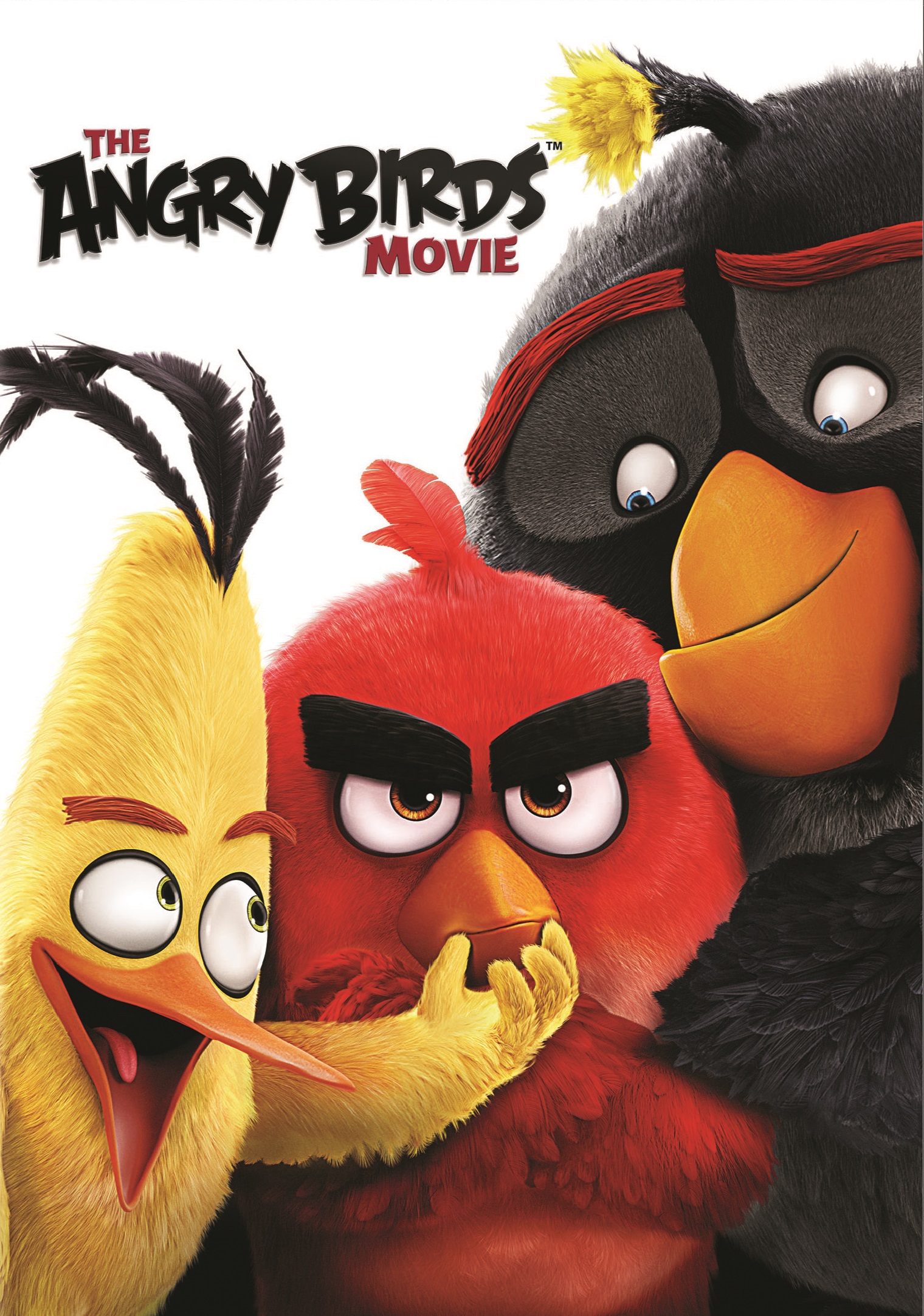 Kızgın Kuşlar Angry Birds Türkçe Dublaj izle (2016)
