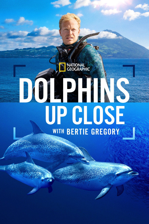Dolphins Up Close with Bertie Gregory izle (2025)